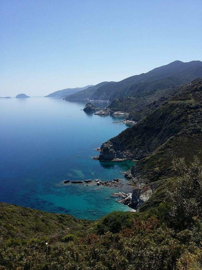 Dafni Studios Neo Klima Dış mekan fotoğraf